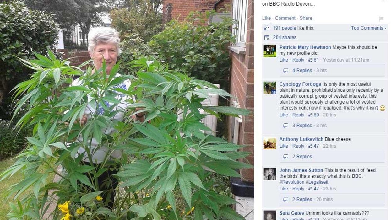 Yes, a woman did ask the BBC to help her identify a marijuana plant
