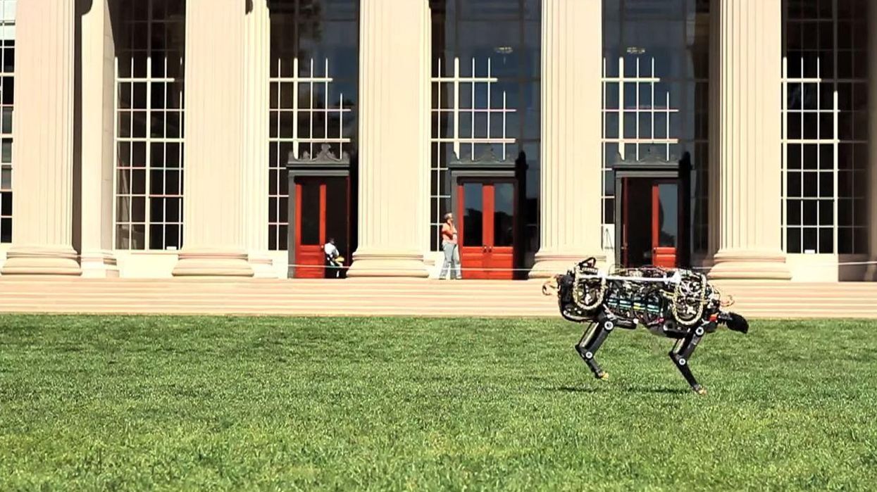 This robot cheetah is everything you've ever wanted and more