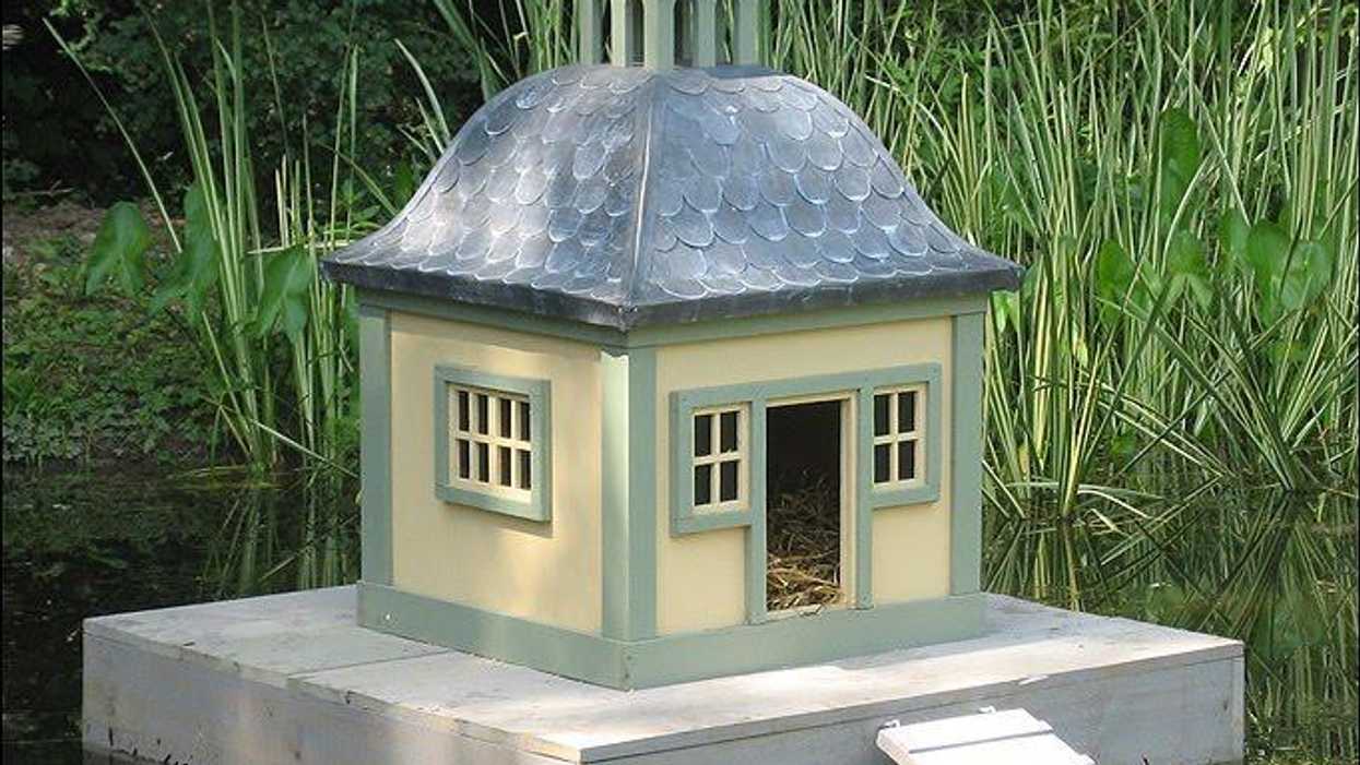 Everything you need to know about MPs and their pay rise