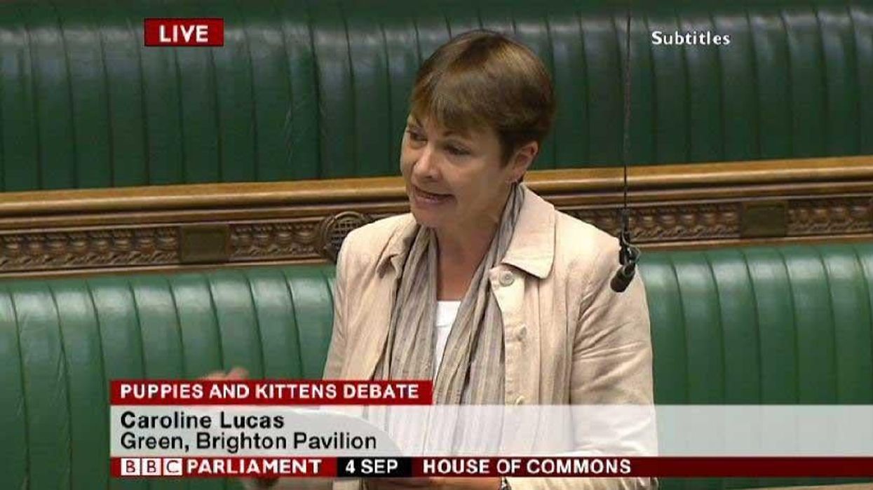 MPs debate puppies & kittens because it's not like anything else is going on