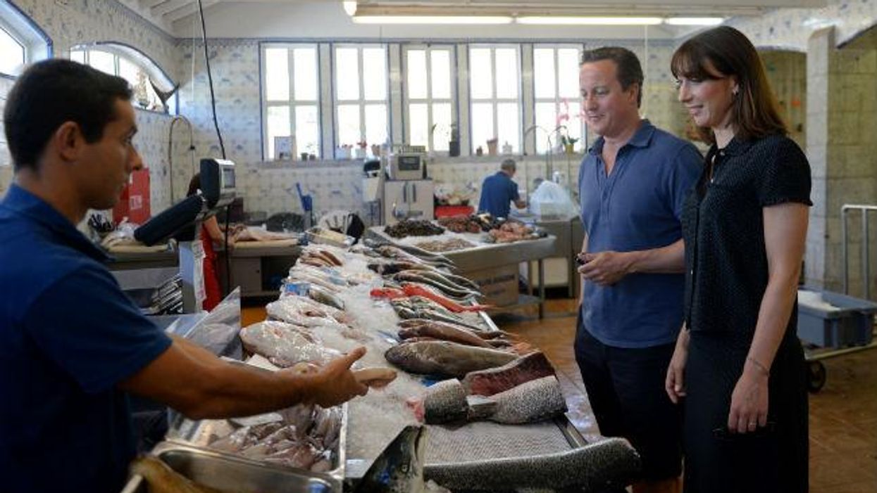 David Cameron really, really likes looking at fish