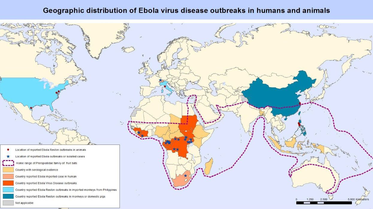 How worried should we be about the spread of Ebola?