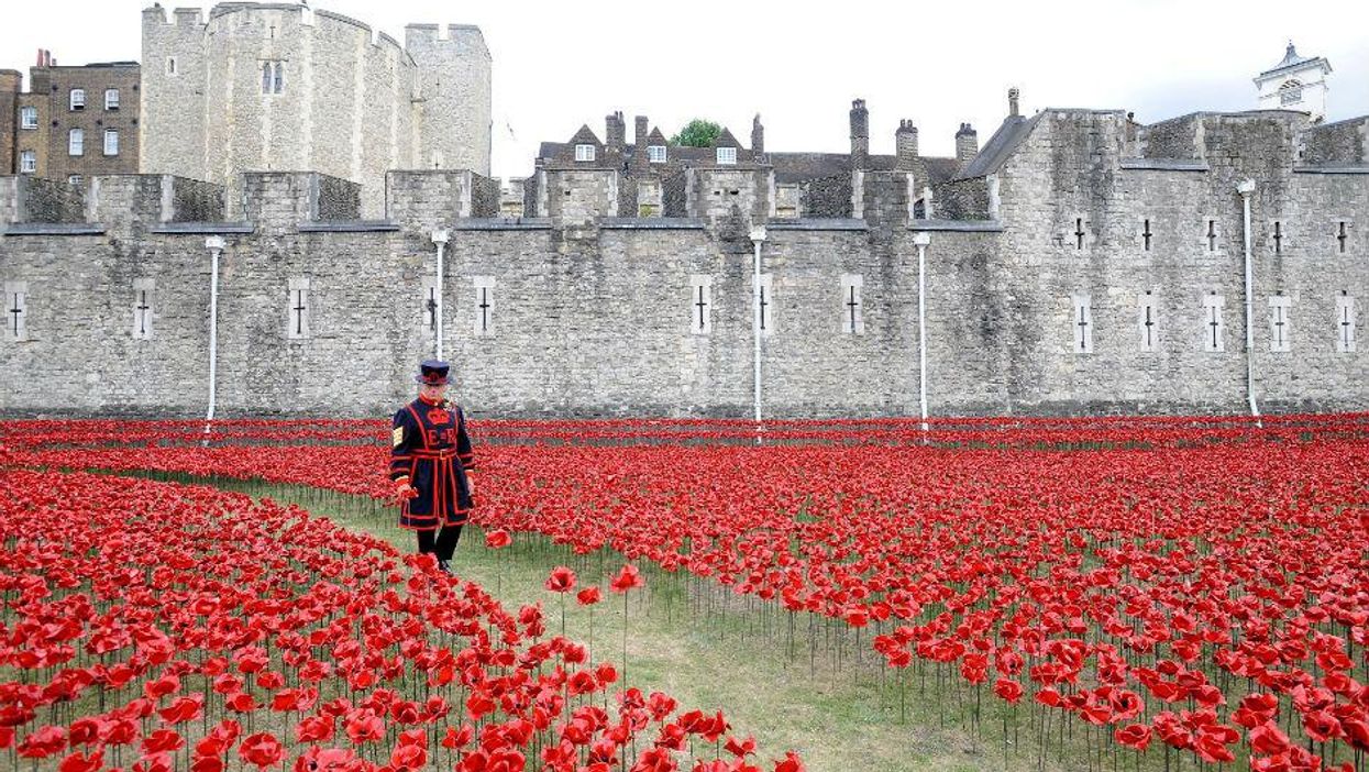 Each one of these 888,246 poppies represents one British military fatality in WWI