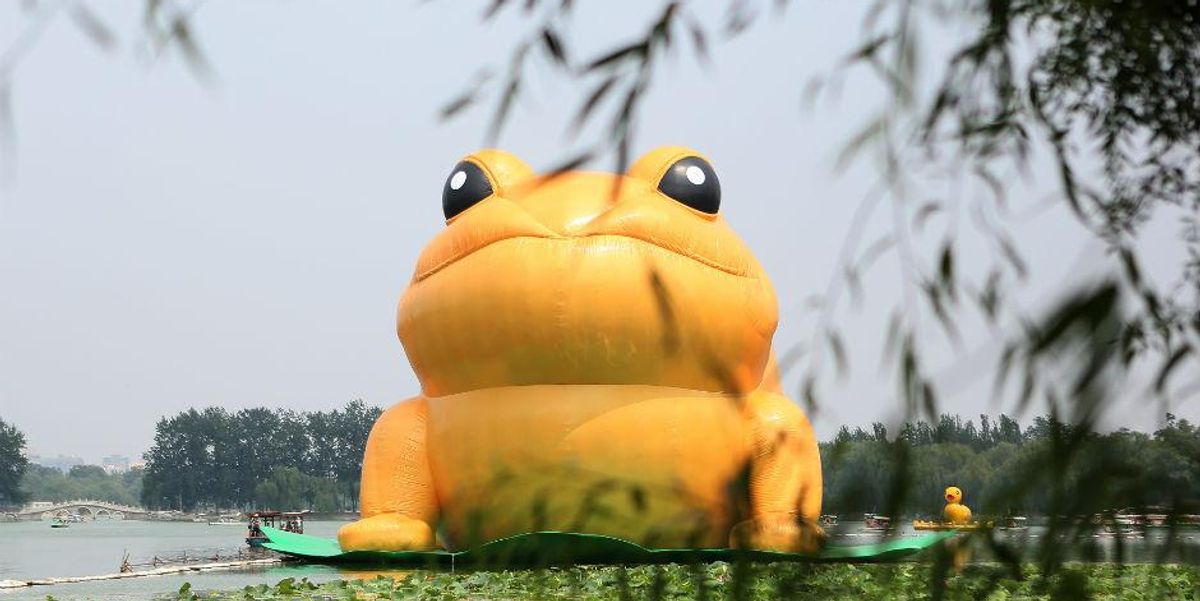 Toads Inflatable We probably shouldn't be talking about this inflatable giant toad ...