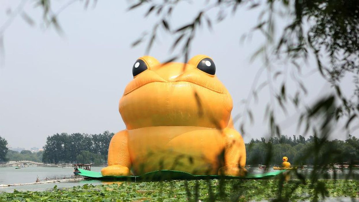 We probably shouldn't be talking about this inflatable giant toad