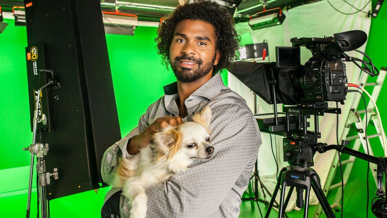 Yes, David Haye really did present a weather forecast for dogs
