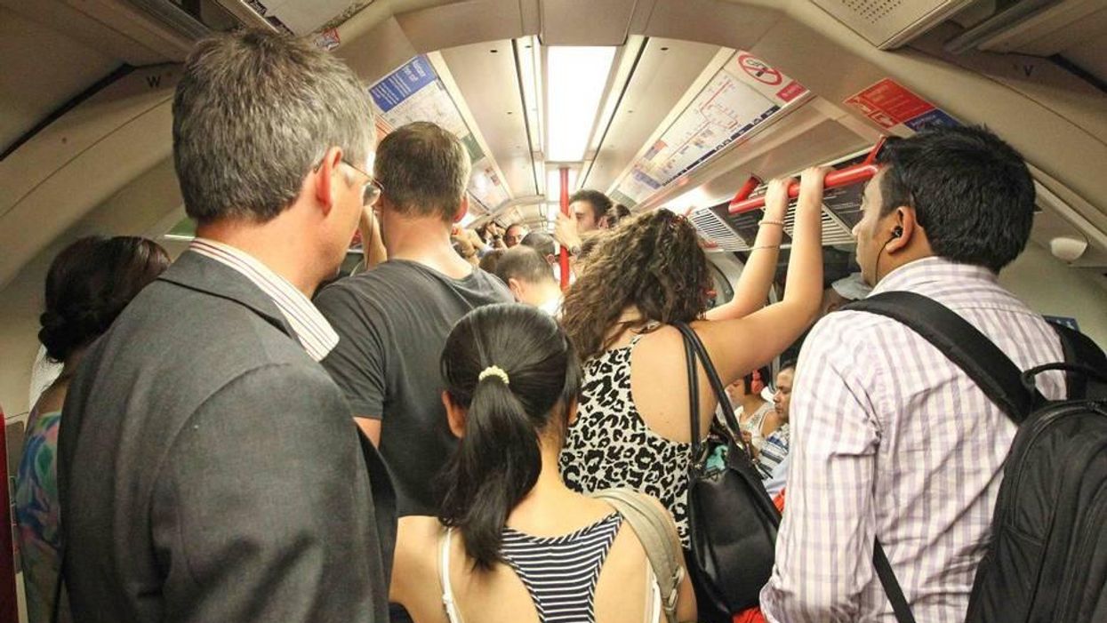 Yes, the Tube really is hotter than the legal limit for transporting livestock
