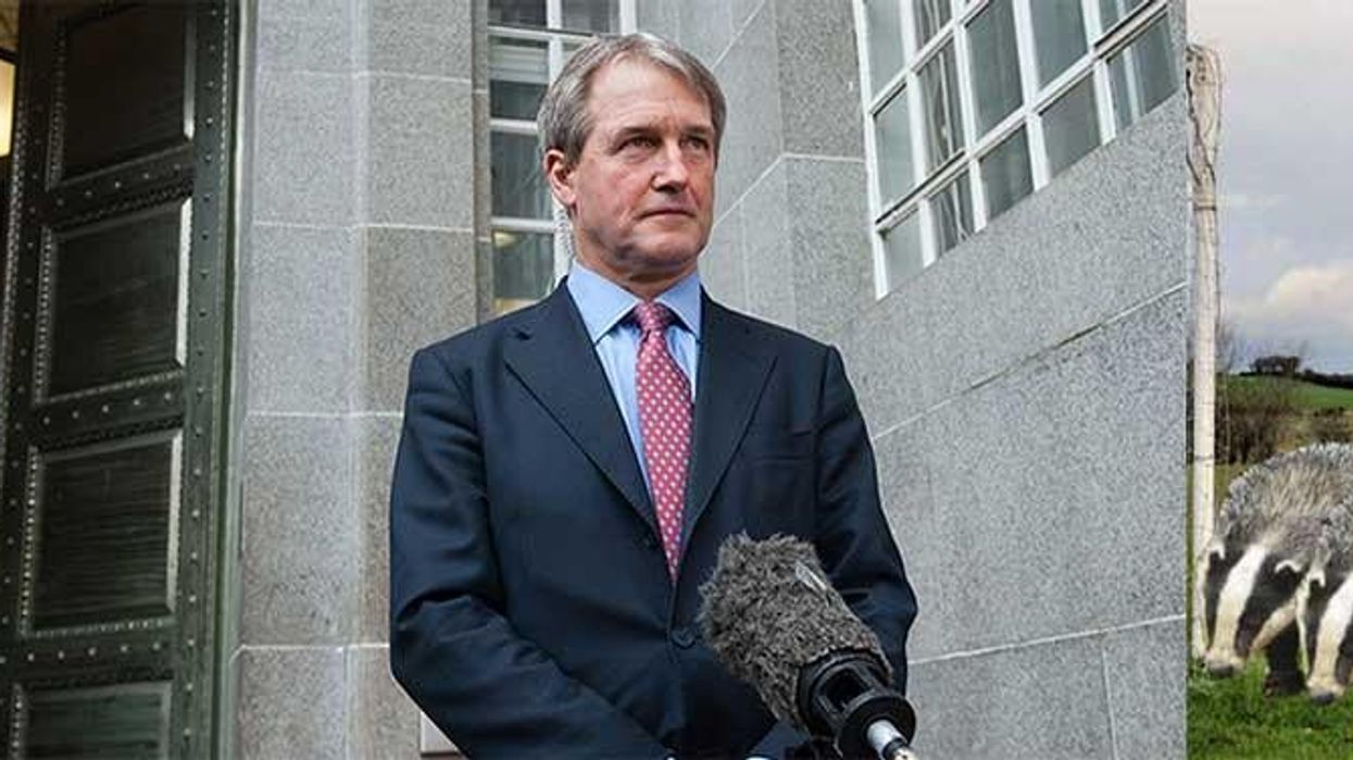 Culled: A tribute to badger foe Owen Paterson