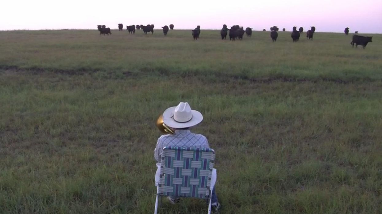 This is the greatest video featuring cows and a trombone you will ever see