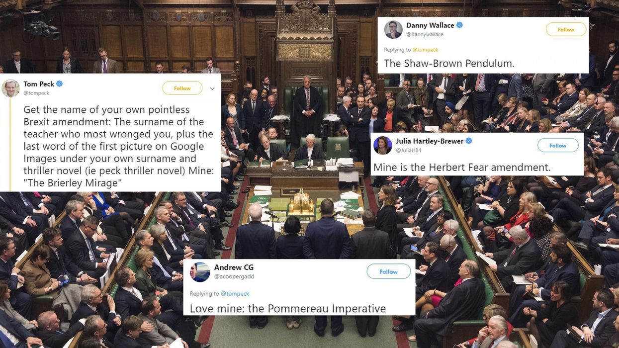 People are creating names for their own 'useless Brexit amendments' and they are hilarious