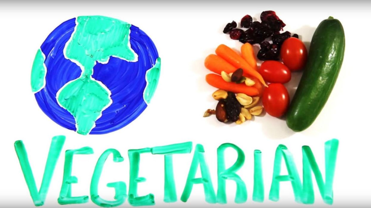 What would happen if everyone in the world became a vegetarian?