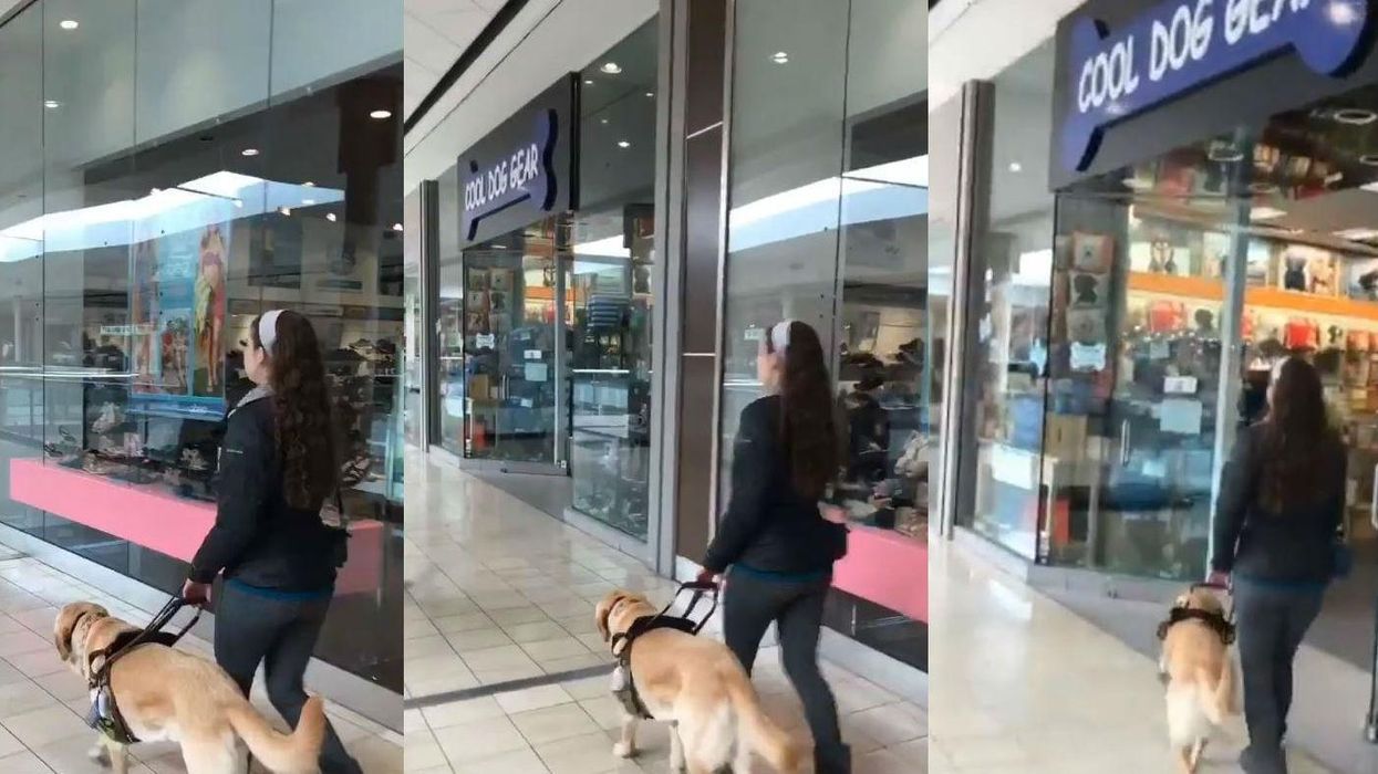 Every time this woman goes shopping, her guide dog takes her to a dog shop without her knowing