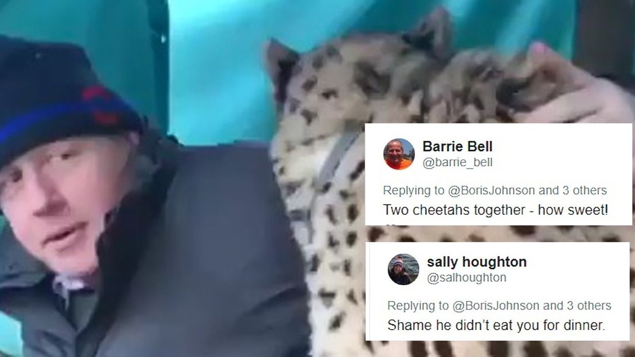 Boris Johnson stroked a cheetah and the internet reacted exactly as you might expect