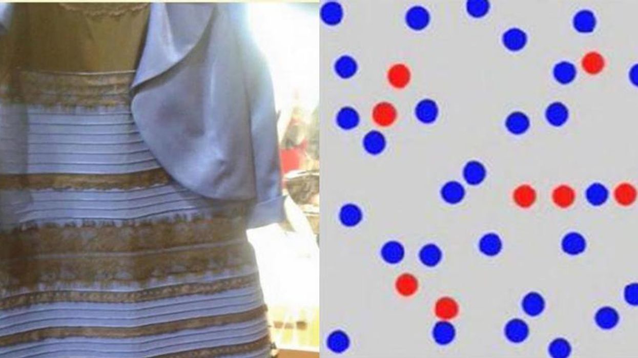 What shapes you see in this video shows how clever you are