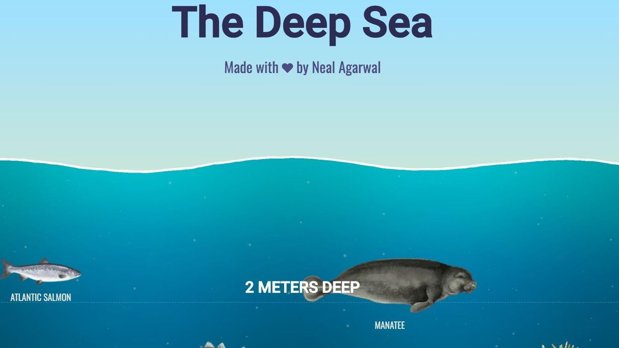 This incredible graphic shows you just how deep the ocean really is