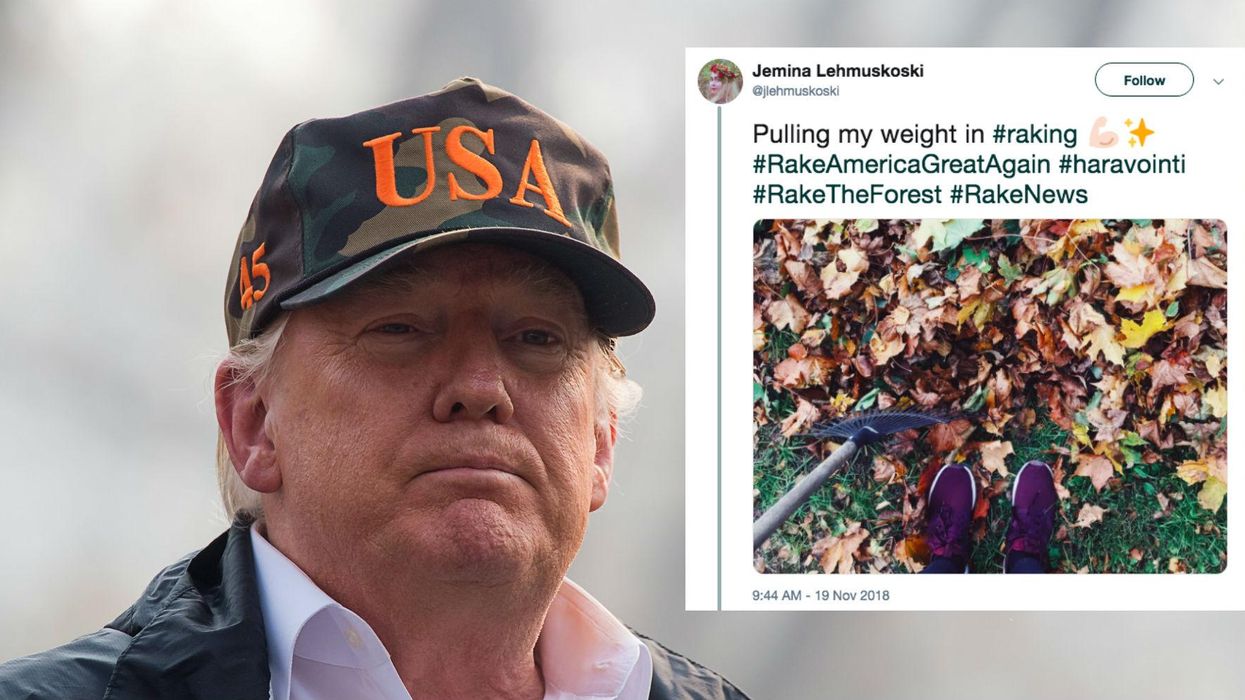 California Wildfires: Finnish president says he doesn't recall mentioning raking to Trump when talking forest management