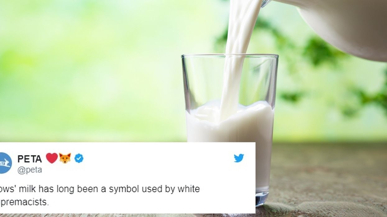Peta compared dairy drinkers to white supremacists and the backlash is real