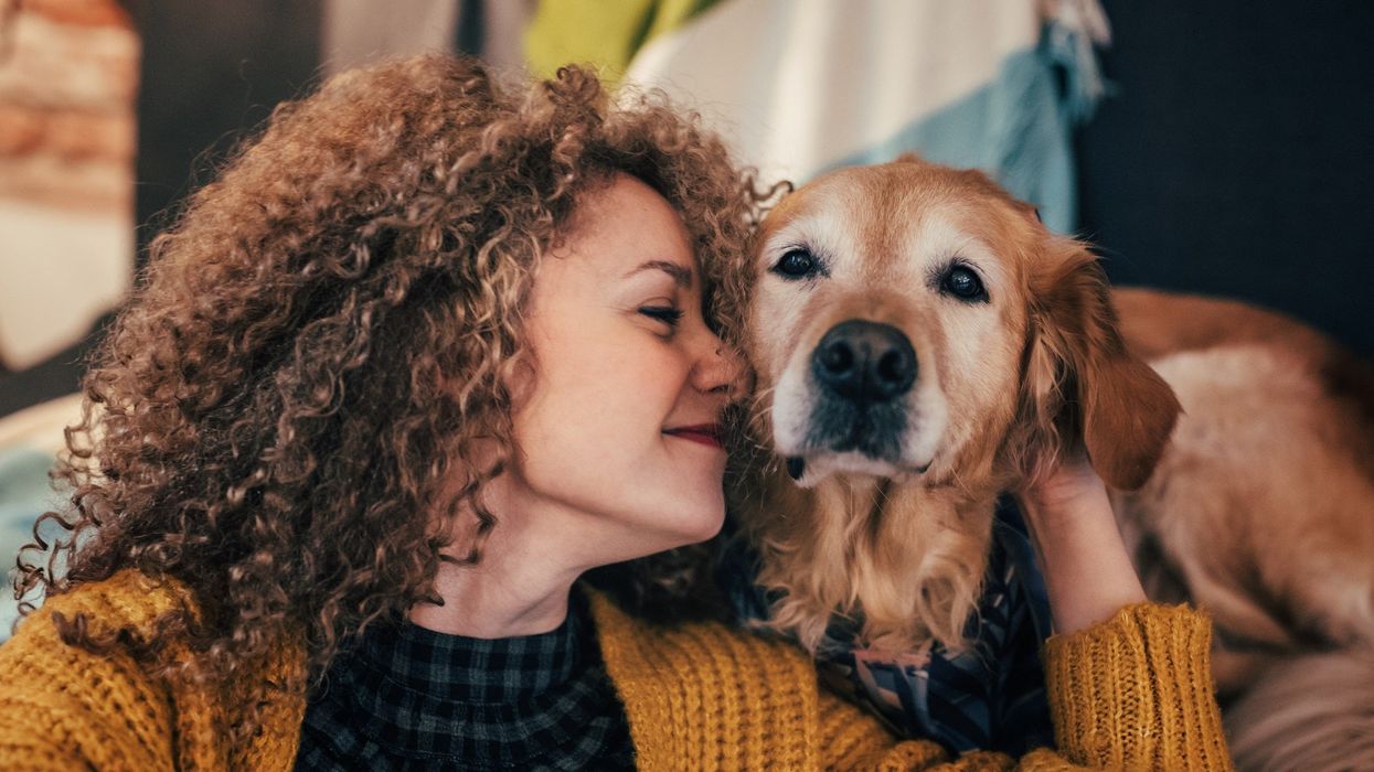 How old your dog really is in 'human years', according to science