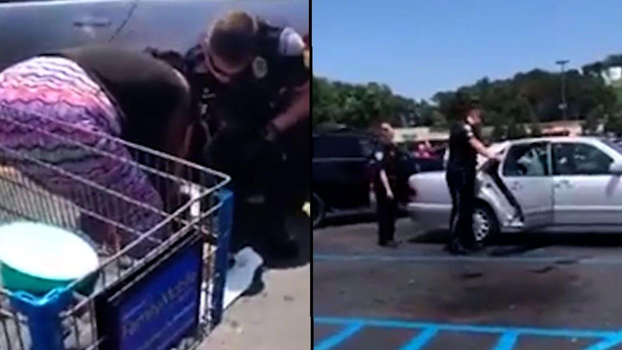 Dog left in a hot car dies from extreme temperatures