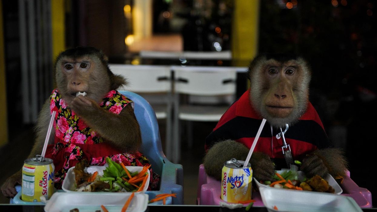 Scientists are going to town busting the biggest food myth there is