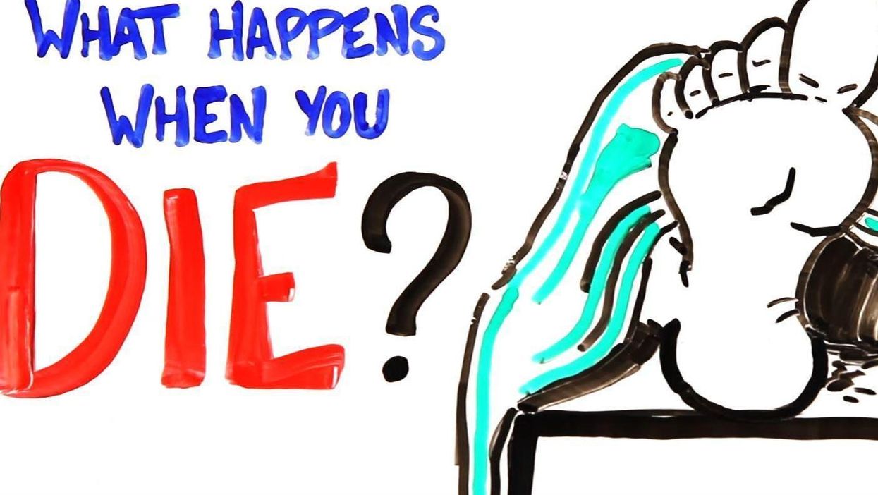 This is what happens to your body when you die