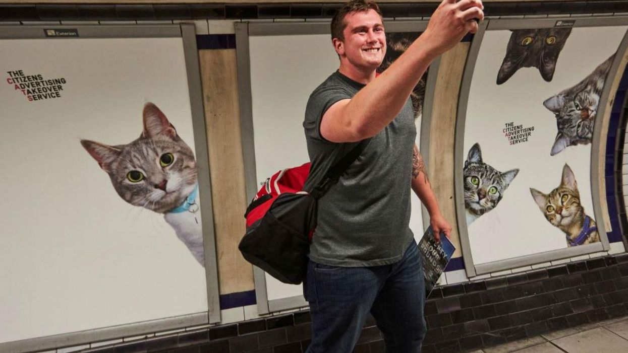 Londoners got so fed up with adverts on the Tube they covered them in cats