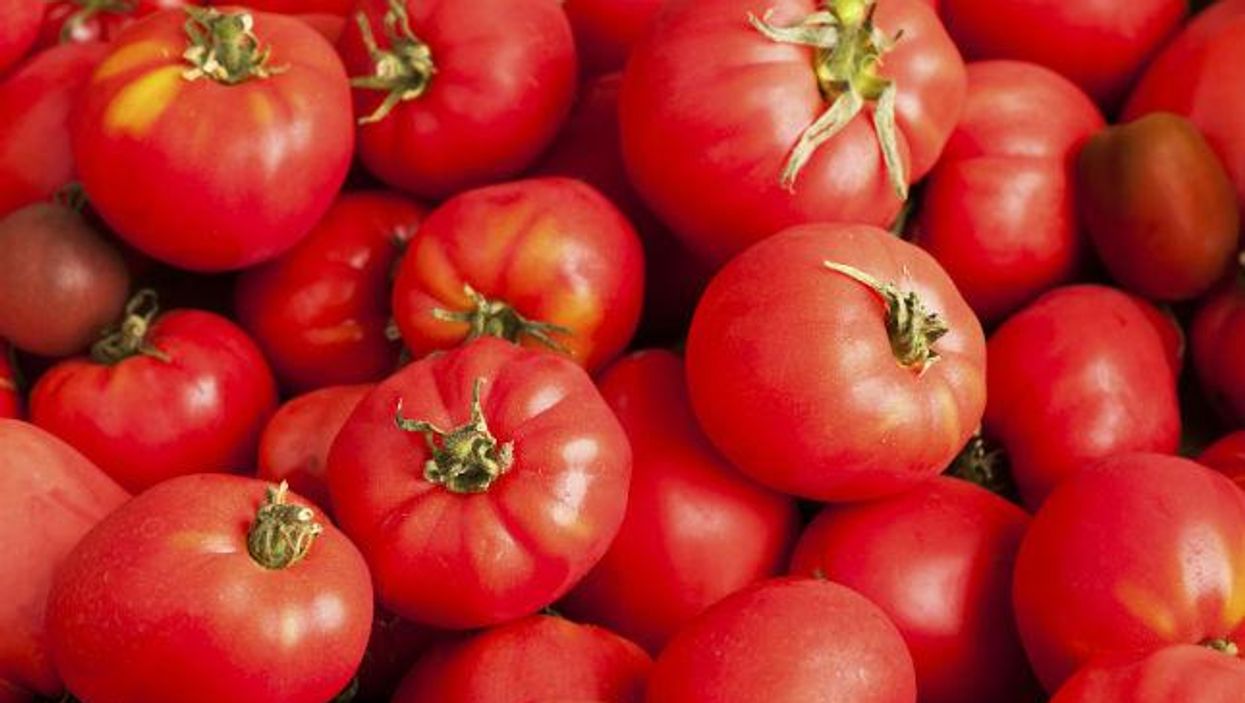 11 foods you should never, ever keep in the fridge