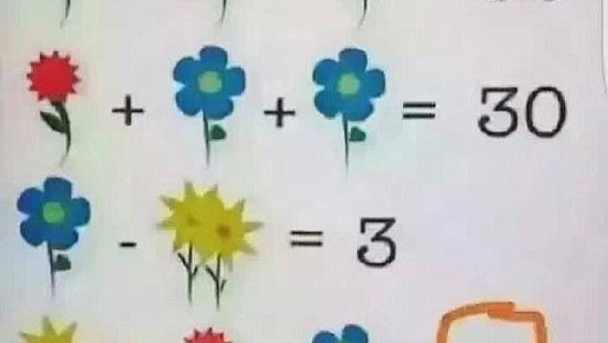 The flower puzzle that even a maths teacher says he can't solve
