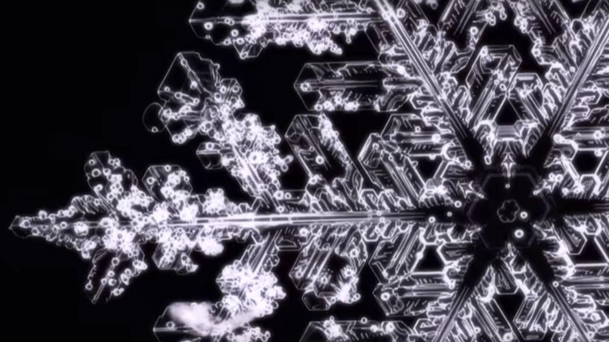 Scientists are growing snowflakes now and it's absolutely beautiful