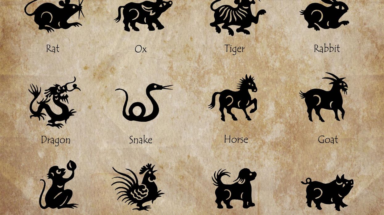 Find out which Chinese year you were born in