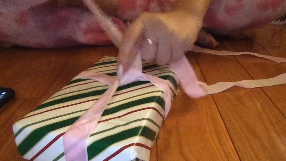 We tried this hack for tying the perfect bow