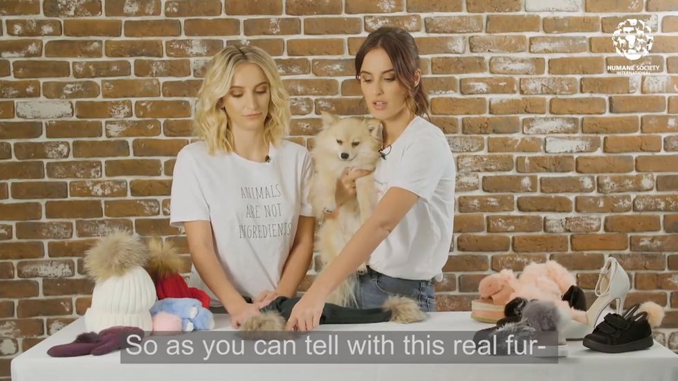 How to distinguish real and fake fur