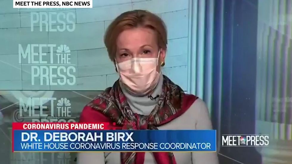 Dr Birx said the vaccine is 'critical' to ending the pandemic but it won't 'save us' from the impending Covid-19 surge