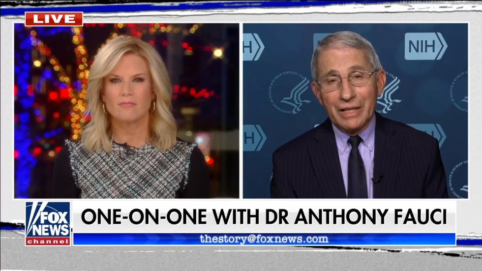 Dr Anthony Fauci criticises Britain's coronavirus vaccine approval