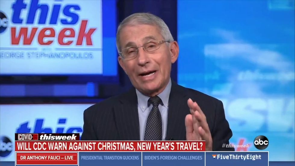 Dr Anthony Fauci warns 'we may see a surge upon a surge' of Covid cases