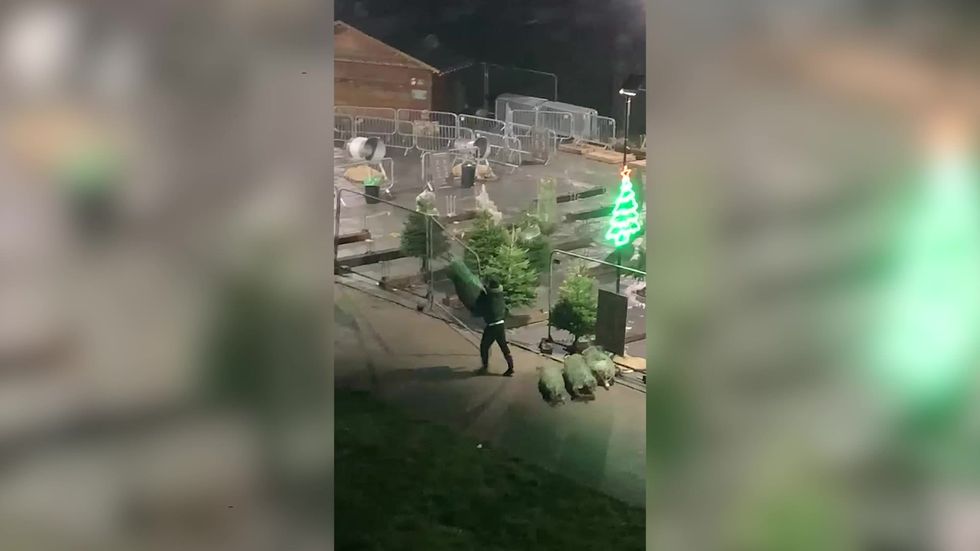 Owners film Christmas trees being stolen from their family business