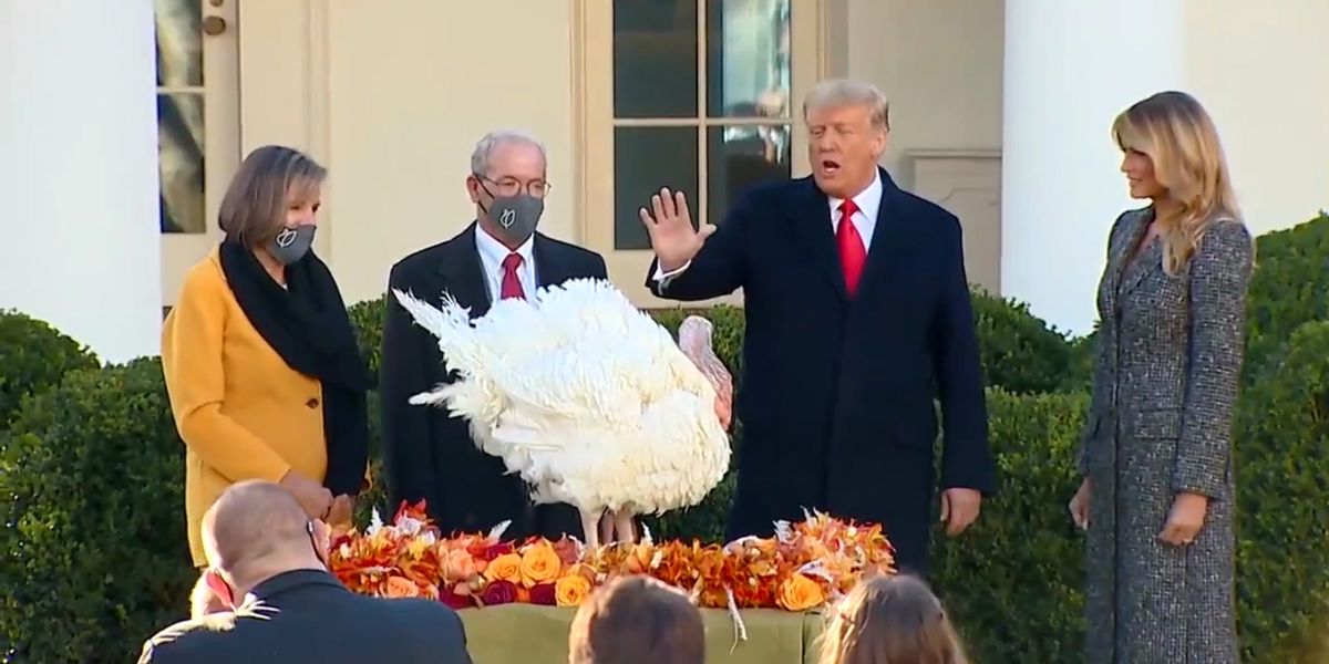 Trump Issues Pardon For Turkey At National Thanksgiving Turkey Trump issues pardon for turkey at national thanksgiving turkey