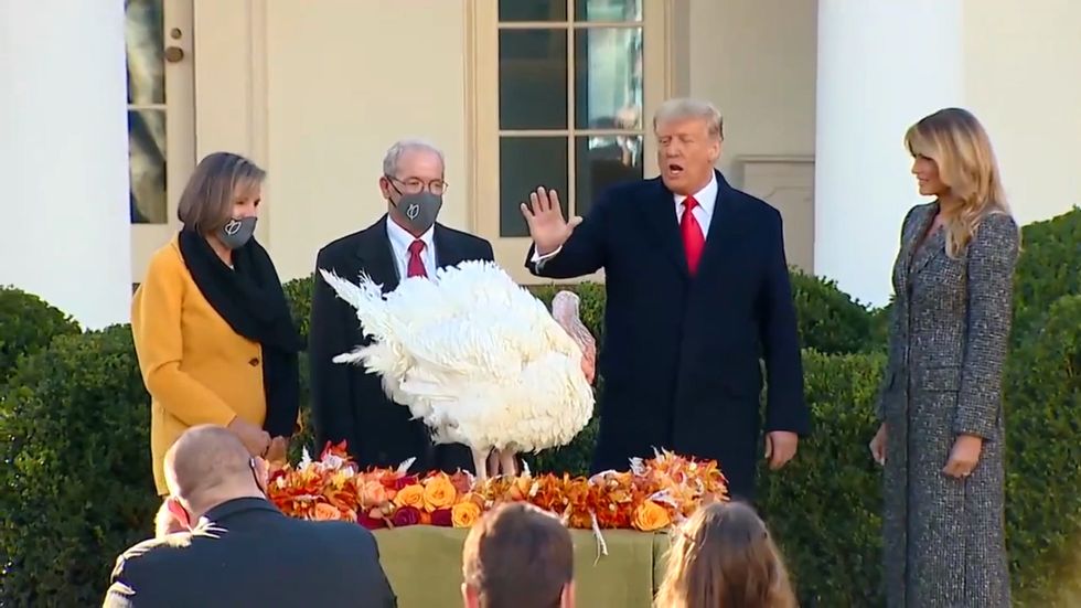 Trump issues pardon for turkey at National Thanksgiving Turkey presentation