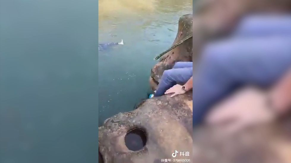 British diplomat diving into a river to save a woman's life