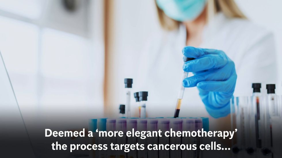 Scientists kill cancer cells in mice in ‘world first’ development