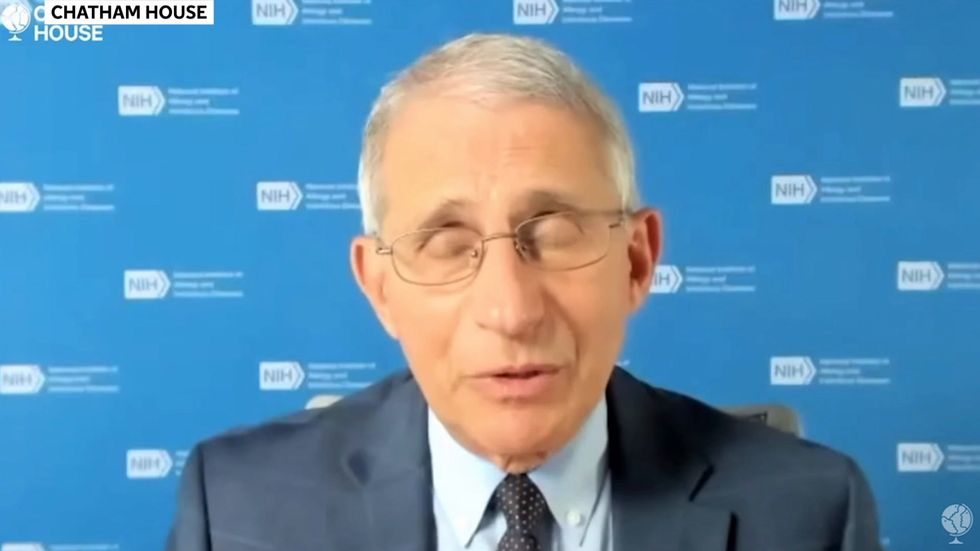 Dr Fauci says mink strain of coronavirus Mink strain 'should not pose risk to Covid-19 vaccines'