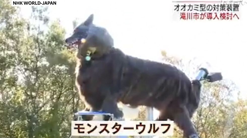 Japanese town deploys Monster Wolf robots to scare away bears