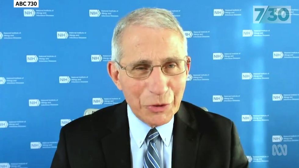 Dr Fauci responds to Steve Bannon's call for him to be beheaded