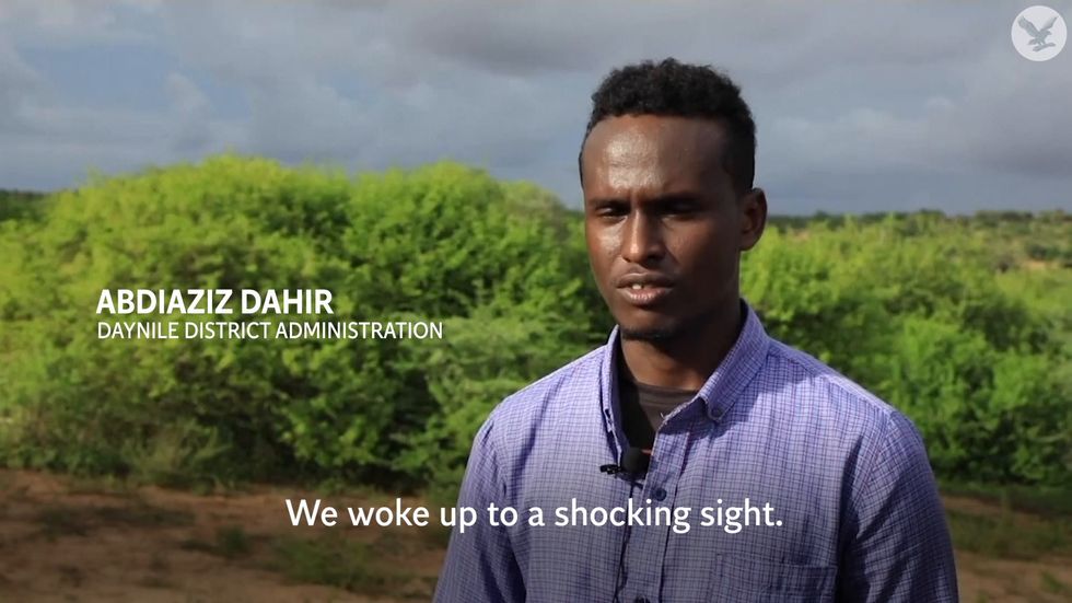 Locusts swarm into Mogadishu's pasture land