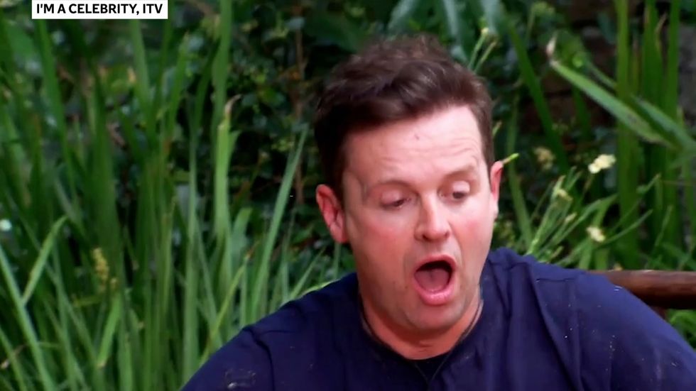 Ant and Dec do first ever bush-tucker trial