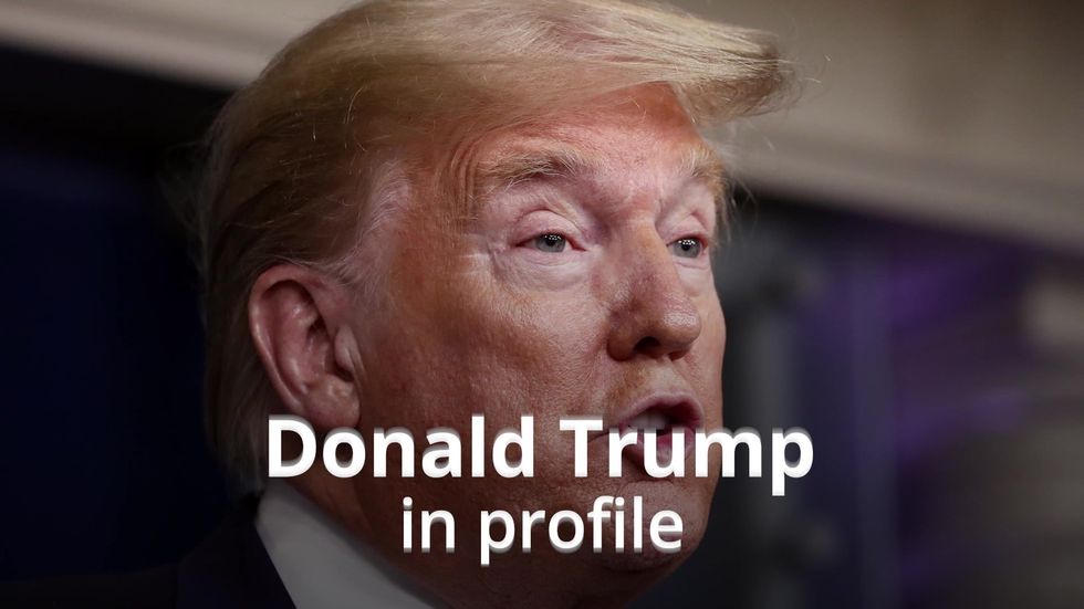 Donald Trump in profile