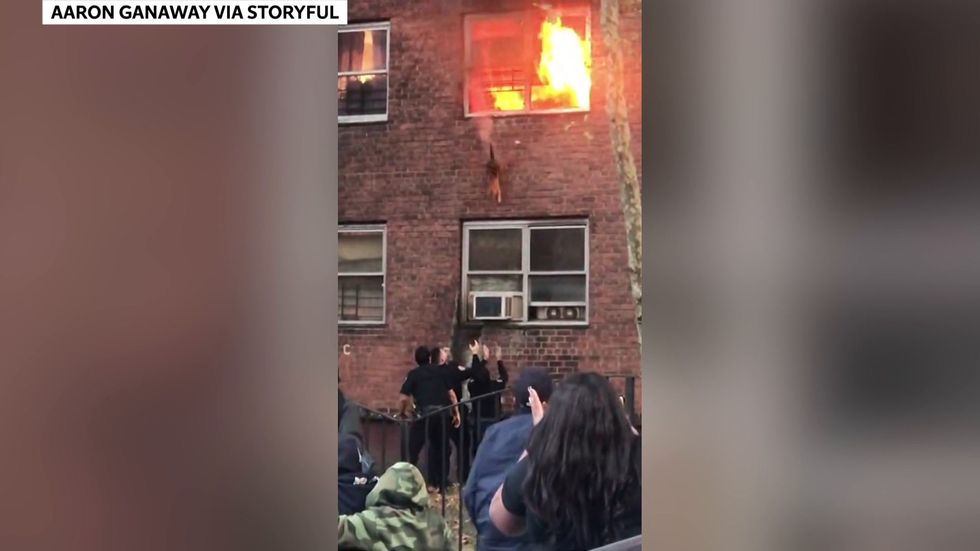 Dramatic moment cat escapes from second-story window of burning building