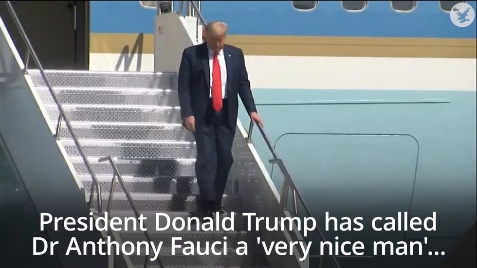 Donald Trump says Dr Fauci is a 'very nice man'