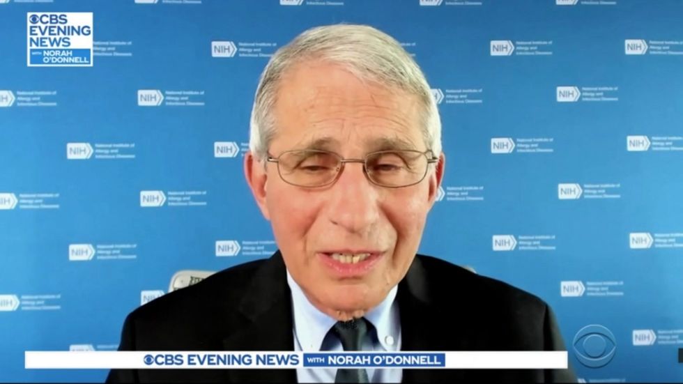 Dr Fauci cautions against Thanksgiving celebrations