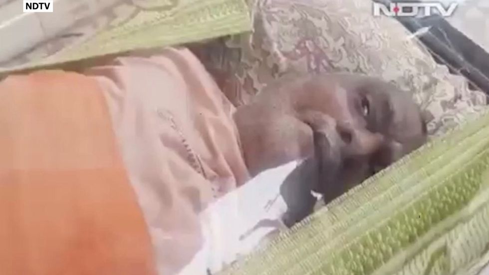 'Dead' man placed in freezer by family wakes up two days later